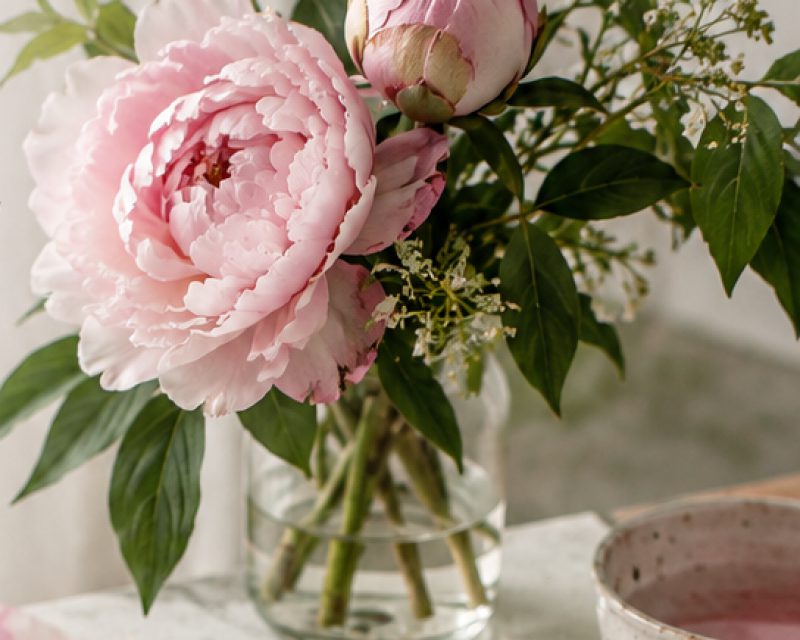Botanical Flowers Watercolor Masterclass